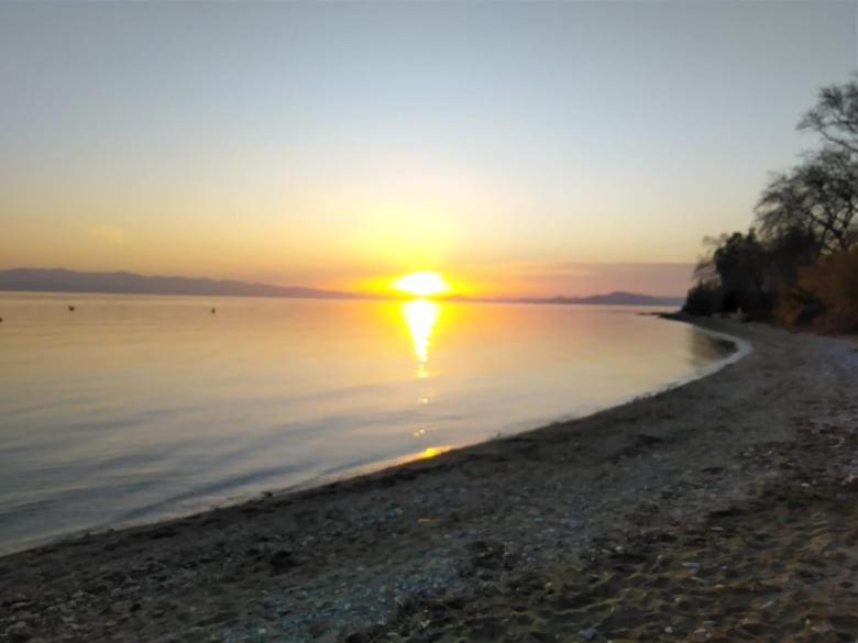 فيلا Starfish Koropi Pelion Milies South Pelion المظهر الخارجي الصورة