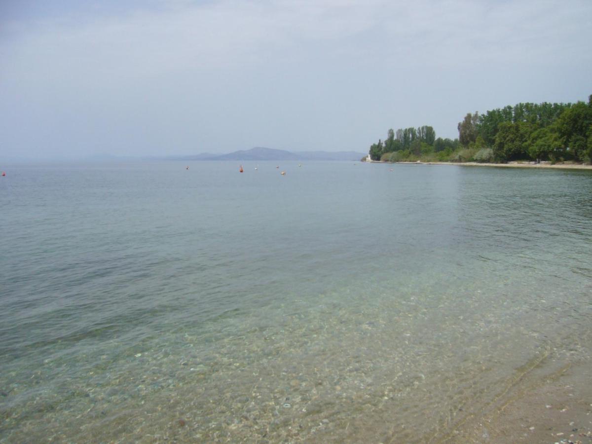 فيلا Starfish Koropi Pelion Milies South Pelion المظهر الخارجي الصورة